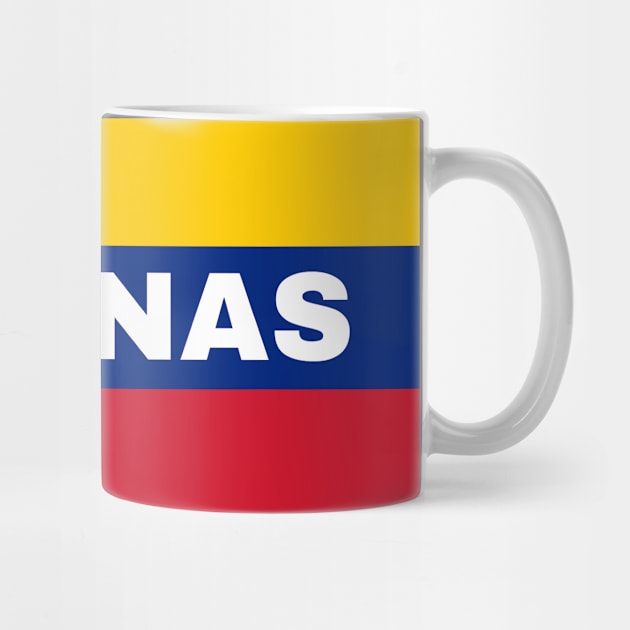 Barinas City in Venezuelan Flag Colors by aybe7elf